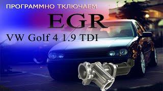 Программное отключение EGR | VW Golf 4  74 KW # CheckEngine #EGR #OffGear