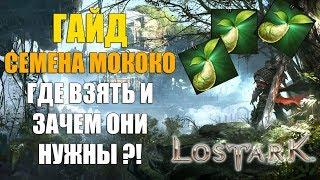 ГАЙД LOST ARK - Где собрать ВСЕ СЕМЕНА Мококо. Где взять и зачем они нужны