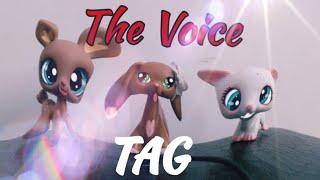 TROP GROS DÉLIRE !!  TAG : the voice (d'Axelle LPS)