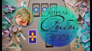 РЫБЫ. АПРЕЛЬ 2019. Таро-прогноз