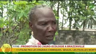 VÉRITÉ 242: Brazzaville, agriculture écologique en plein essor