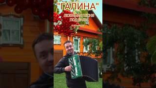 ПРЕМЬЕРА ОСЕНИ 2023 "ГАЛИНА"-ЛЮБИМАЯ ПЕСНЯ ПОД БАЯН #любимаяпесня #баян #баянист #песня #Галина