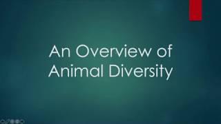 An Overview of Animal Diversity