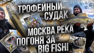 ТРОФЕЙ МОСКВА-РЕКИ | BIG FISH | ПОГОНЯ ЗА КРУПНОЙ РЫБОЙ | ЧУТЬ НЕ УТОНУЛ... | НЕ ОЖИДАЛ ЕГО ПОЙМАТЬ