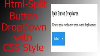 How to Create a Split Button Dropdown Only Html and CSS(2021)