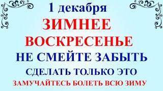 1 декабря Первый День Зимы, День Платона и Романа. Что нельзя делать 1 декабря. Народные традиции