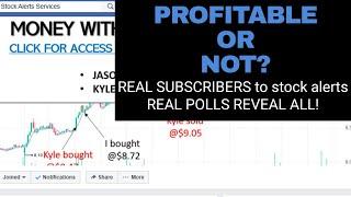 Stock Alerts Reviewed Real Subscriber Polls