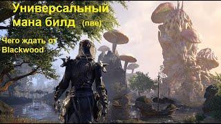 Универсальный мана пве билд! К чему готовиться в Новой главе Blackwood - The Elder Scrolls Online