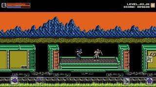 Ninja Gaiden Rebirth Version (Beta)