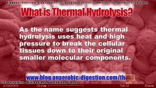 What Is Thermal Hydrolysis - What Is the Definition of Thermal Hydrolysis - Check It Out!