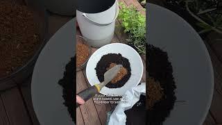 Natural Soil Mixing: Tips for Gardening