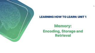 Memory: Encoding, storage and retrieval