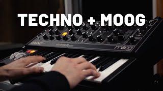 Moog Grandmother + Techno drum loops (no talking)