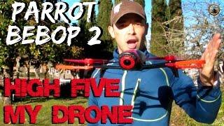 Parrot Bebop 2 Propeller Bumper Guards // Drone High Five!