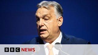 Hungary PM Viktor Orban to meet AfD party leader Alice Weidel | BBC News