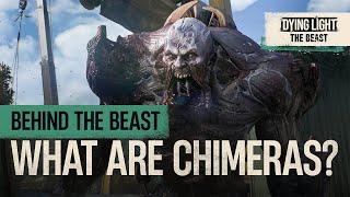 Behind the Beast: What are Chimeras?