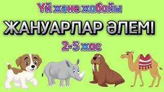 ЖАНУАРЛАР. ҮЙ ЖӘНЕ ЖАБАЙЫ ЖАНУАРЛАРМЕН. Животное