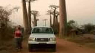 Alley of Baobabs, Madagascar - Conservation International