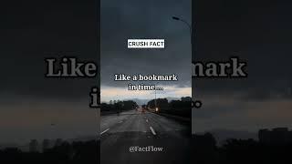 Like a bookmark in time#factflow#shortsvideo #psychologyfacts#factshorts #shorts#lovestatus