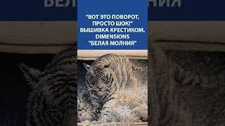  ВЫШИВКА КРЕСТИКОМ "БЕЛАЯ МОЛНИЯ" DIMENSIONS  УДИВИТЕЛЬНАЯ РАБОТА! 