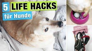 5 HUNDE LIFE HACKS für Hundehalter | Hund Lifehacks deutsch | dog owner