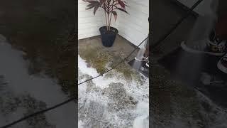 pressure washing the patio