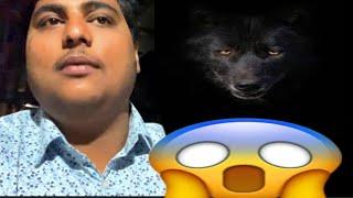 I'm afraid of street dogs || vlog - 3 || KULDEEP JHA VLOGS