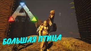 БОЛЬШОЙ ВОРОБУШЕК - ARK SURVIVAL EVOLVED СЮЖЕТНОЕ ПРОХОЖДЕНИЕ #3