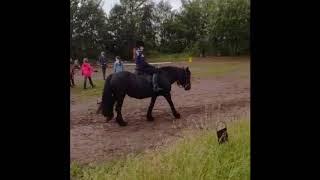Horse riding school