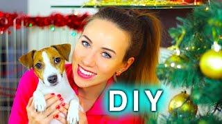 НОВОГОДНИЙ DIY ДЕКОР - ROOM TOUR - УКРАШАЕМ ВОЛЬЕР СОБАКИ И НАРЯЖАЕМ ЕЛКУ | Elli Di Pets