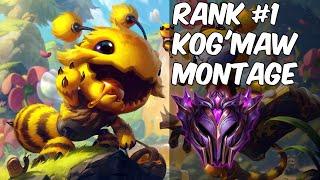 RANK #1 KOG'MAW MONTAGE (Season 11) - League of Legends