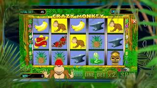 Crazy Monkey slot