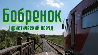 "Бобрёнок" - Поездка на Туристическом Поезде в Воронежский Заповедник.