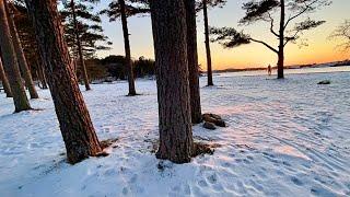 Norway  Sandefjord || Langeby Beach Sunset - Shot on Iphone 12 Pro