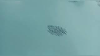 Block printing by Eddy Creations Ludhiana 9876341009
