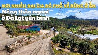 Ngoại ô Đà Lạt nơi nhiều đại gia bỏ phố về rừng ở ẩn. Khí hậu trong lành bình yên.