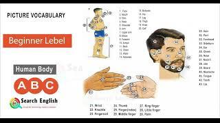 Picture Vocabulary -Basic English  Word Book for Beginner Level- "Human Body".