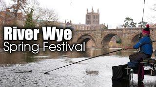 HUGE Chub Weights | River Wye Spring Festival 2025