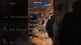 Ranking Dogs Understanding English