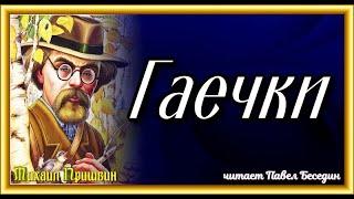 Гаечки,   Михаил  Пришвин, Рассказы о птицах , читает Павел Беседин