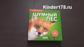 Детская музыкальная книга "Шумный лес" Говорящие животные. Азбукварик. Видео-обзор