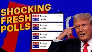 2024 Election Map: Shocking Poll Results Across All 50 States Revealed!