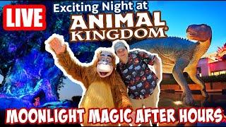 Live: DVC Moonlight Magic After Hours at Animal Kingdom! - Rides & Fun - Disney World Livestream