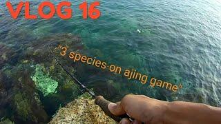 Strike ikan berbisa on Ajing!!! | Ultralight Fishing Malaysia