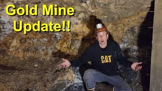 Gold Mine Update!