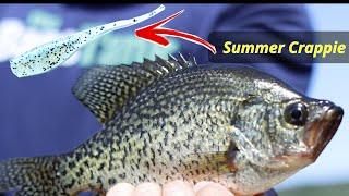 Favorite Bait Pattern for SUMMER Crappie