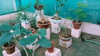 Connecting Nature | kongunadu arts and science college, Coimbatore-29| Swachh Bharat