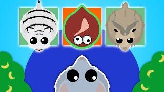 Lucky Challenge, i got RARE ANIMALS in MOPE.IO