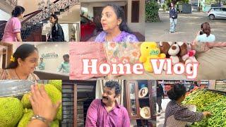 Home Vlog | Sindhu Krishna