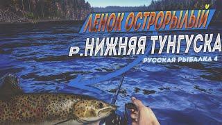 Где ловить Ленка Острорылого? • Р.Нижняя Тунгуска • Русская Рыбалка 4